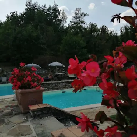 Le Pozze Di Lecchi Hotel 4*